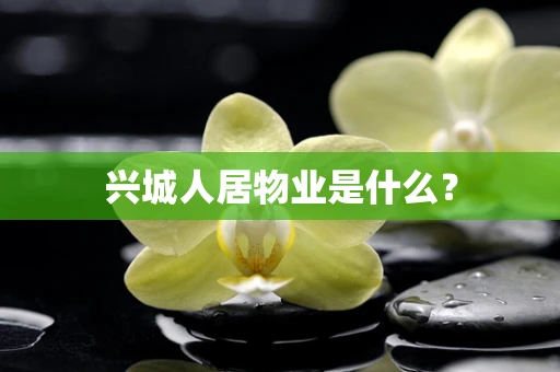 兴城人居物业是什么？