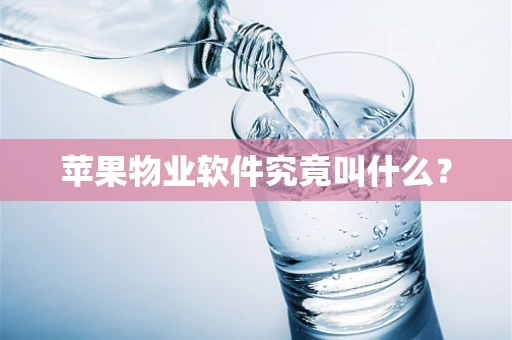 苹果物业软件究竟叫什么？