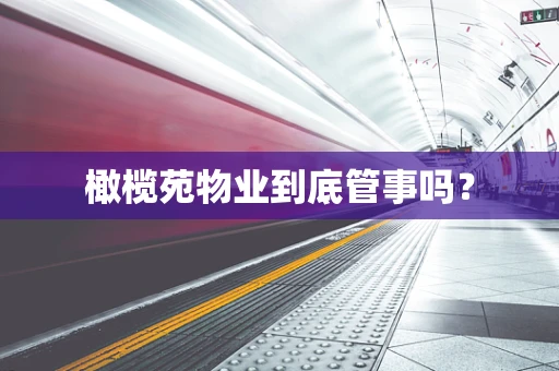 橄榄苑物业到底管事吗？
