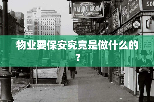 物业要保安究竟是做什么的？