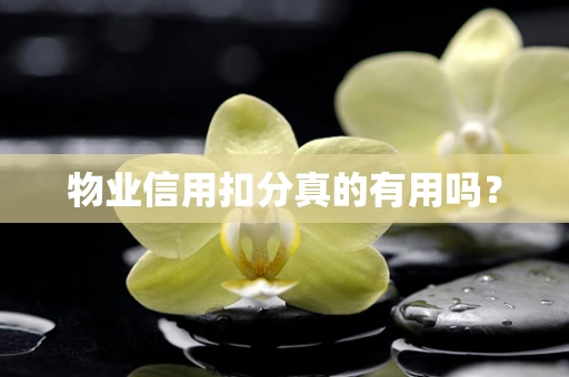 物业信用扣分真的有用吗？