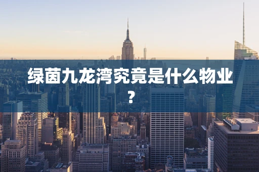 绿茵九龙湾究竟是什么物业？