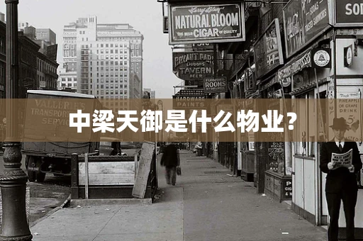 中梁天御是什么物业？