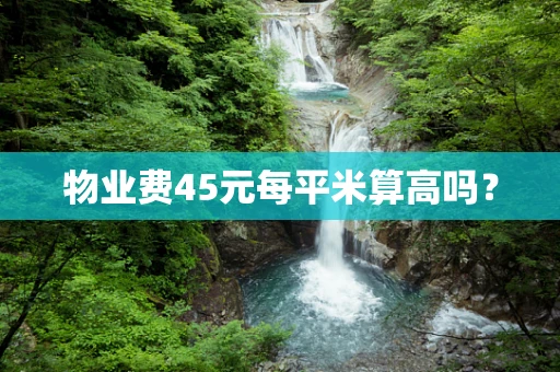 物业费45元每平米算高吗？