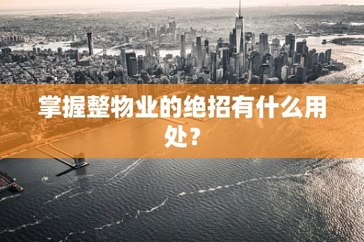 掌握整物业的绝招有什么用处？
