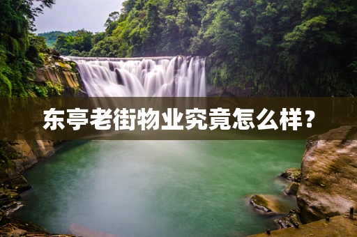 东亭老街物业究竟怎么样？