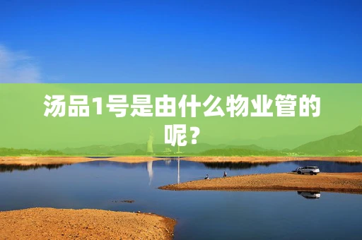 汤品1号是由什么物业管的呢？