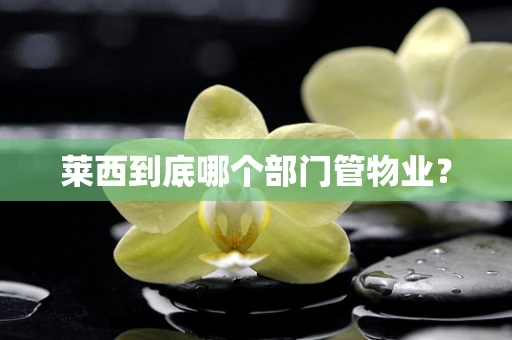 莱西到底哪个部门管物业？
