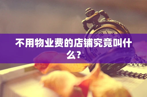 不用物业费的店铺究竟叫什么？