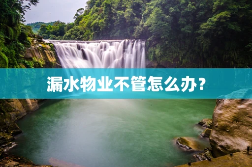 漏水物业不管怎么办？