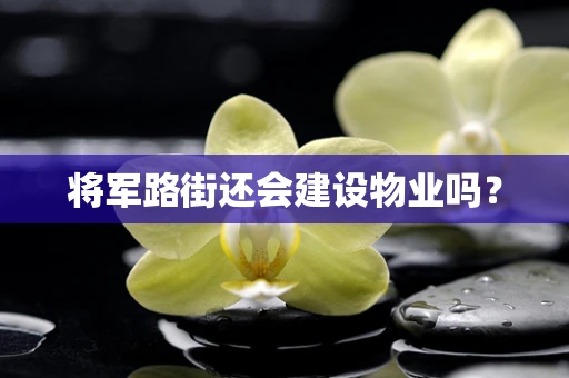 将军路街还会建设物业吗？