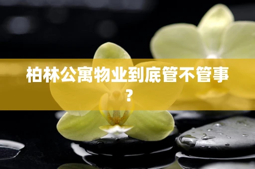 柏林公寓物业到底管不管事？