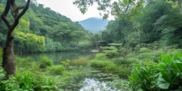 绿茵九龙湾究竟是什么物业？