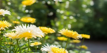 萱花映象物业真的管事吗？